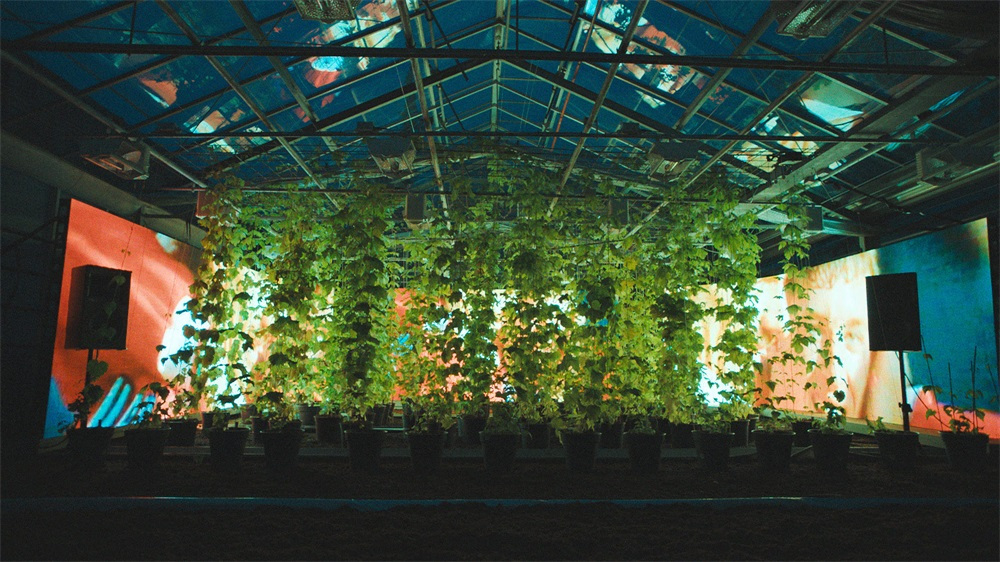 嘉士伯基因已经完全纳入利物浦